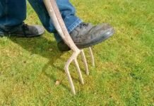 What is lawn aeration? What is lawn aeration?