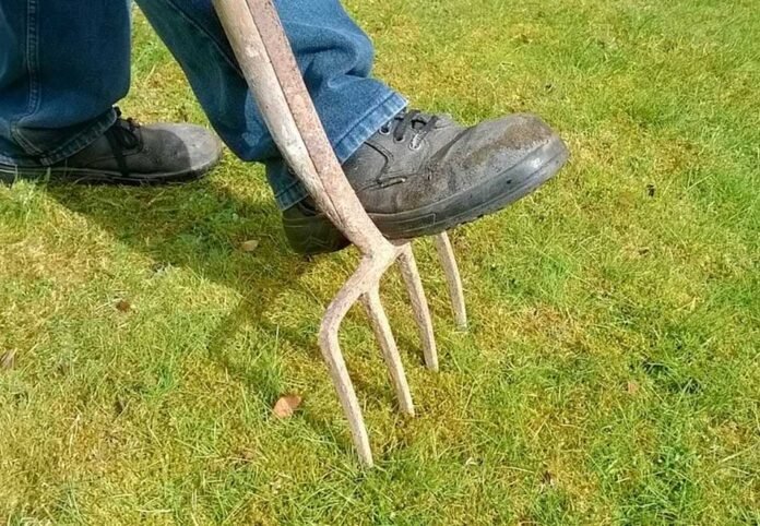 What is lawn aeration?