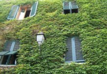 Most Popular Materials Used for Making Shutters Most Popular Materials Used for Making Shutters