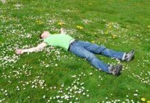 What services are included in your lawn care package? lawn care