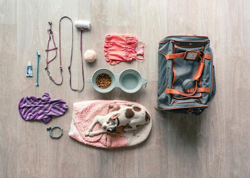 Must-Have Pet Products